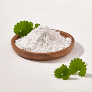 MIXSOON Green Cica Modelling Mask