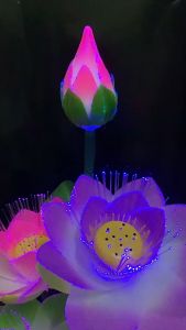 Đèn hoa sen LED Thất Sắc Liên Hoa 7 Bông Sen Đổi Màu Rực Rỡ