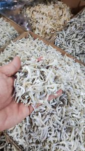 teri buntio vip /buntio sedeng ukuran teri rata kecil super murah berkualitas100%