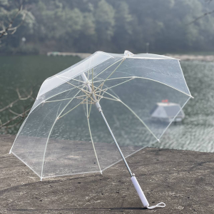 Cây Dù Chống Gió Trong Suốt Cỡ Lớn Tự Động Tay Cầm Dài Dành Cho Cả Nam Và Nữ Dùng Chung Cho Cặp Đôi Dù Chống Mưa Mùa Đông