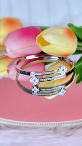 Panlandwoo - Gelang Bangle Titanium Wanita Ruana