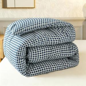 Thick Winter Quilt for Student Dormitory
