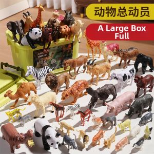 YUERBAO | Cognitive Educational Toy for Toddlers