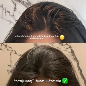 แชมพู Black Ginger Caspar Anti-Dandruff Oil Control Volumizing Anti-Breakage Hair Care for Oily Hair from Thailand