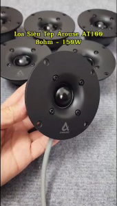Loa Siêu Treble Arouse AT100 8ohm 150W