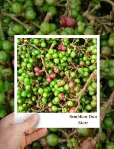 Andaliman Segar Andaliman Raya Bumbu Khas Medan 50 Gram