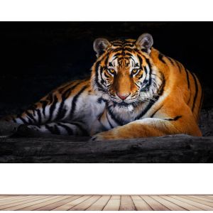 Modern Simplified Chinese Tiger Painting Office Entrance Living Room Desktop Hanging Artwork Wall Decal Powerful Home Decor