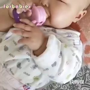 Baby fruit and vegetable pacifier bite bag baby complementary food feeder