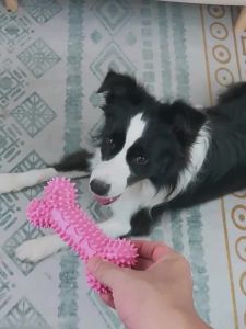 7o | Durable Bite Resistant Brain-stimulating Pet Toy Ball