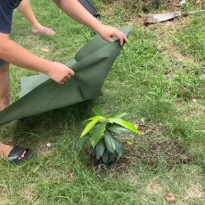 ผ้าคลุมดินเกรดพิเศษ [ยกม้วน] ผ้าคลุมหญ้า ผ้าคลุมวัชพืช แข็งแรงทนทาน 🌿 หนา 70 แกรม น้ำซึมไหลผ่านได้ดี ทนทานทุกการใช้งาน by Qkong