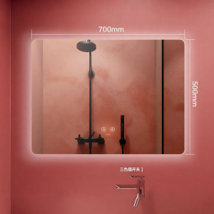 SSWW | Wall-Mounted HD Anti-Fog Smart Mirror with Light