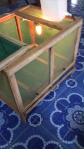 กรงเลี้ยงไก่ ไฟฟ้า 5in1 ไม่ต้องประกอบ พร้อมใช้งาน