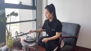 2500W High Temp Steam Cleaner 110V Portable Handheld Cleaning Machine With Accessories 105C Brass Heating 6 Speeds US Plug