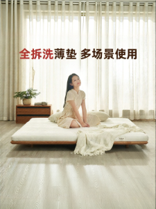 Detachable Zero Glue Environmental Friendly Spinal Support Latex Hardening Mattress