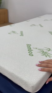 JIJI.SG DREAMAX Oana Bamboo Foam Topper Elastic Straps Mattress Protector