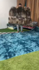 <LazSgMall> Highest Quality Homelo 2 Sizes Premium Carpet Rasfur Fluffy Shaggy Carpet Tatami