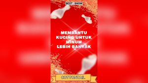 Maxi Cat Wet Food Makanan Kucing Basah Wet Food Kaleng Maxi Cat Food 400gr