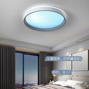 LANTU 40 & 50cm Round Simple New Modern LED Ceiling Lights Dimming Luminaire Bedroom Living Study Foyer Room Salon Lighting Lamps Household