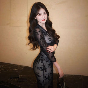 CHANGTONG | V-Neck Lace Bodycon Pencil Dress