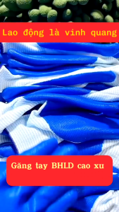 [giá sỉ]12 Đôi Găng Tay  Phủ Cao Su -găng tay bảo hộ lao động_găng tay lao động phủ sơn-Găng Tay Bảo Hộ Cao Su Đi Làm..ht