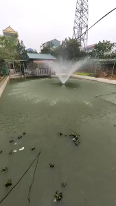 Máy bơm nước sục khí tạo ôxy thân inox công suất 1.5KW-2.2KWBơm chìm sục khí tạo đài phun cho ao hồ nuôi thủy hải sản.