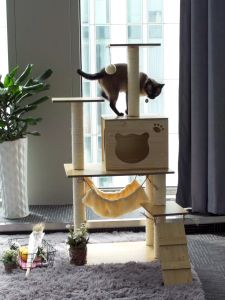 คอนโดแมว ที่ลับเล็บแมว ที่ฝนเล็บแมว ของเล่นแมว บ้านแมว บ้านแมวไม้ ที่นอนแมว ที่นอนสัตว์เลี้ยง