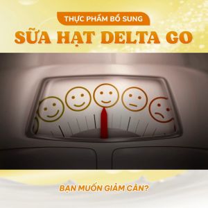 Sữa hạt thuần đạm thực vật DeltaGo phục hồi sức khoẻ sau ốm hỗ trợ xương khớp tim mạch bệnh nhân tiểu dường - Hộp 800g