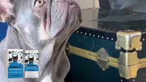 Bulldog Wrinkle Balm Natural Dog Skin Fold Care Face Wrinkle Treatment Skin Block Dirt Bacteria Pet Soothing Moisturizing Balm