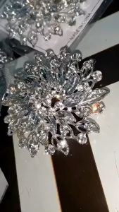 All-match Clothing High-end Pearl Brooch: A Fashion Bow Floral & Alloy Silver-plated Snowflake Design