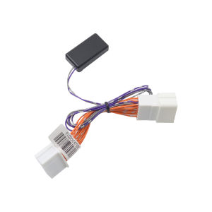 LT | OBD Automatic Locking Device