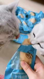 "FRESH" 40G Masti Healthy Pet Snack cat snack cat treat chicken breast ready to eat dada ayam makanan kucing 宠物蒸煮鸡胸肉 Cat Treat Pet Food High Protein