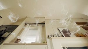 JIMMY BX6 Lite Ultrasonic UV Vacuum Cleaner Porterble Anti dust mite Bed Vacum Cleaner Penyedot Debu ​Dust Mite Vacum Debu Tungau