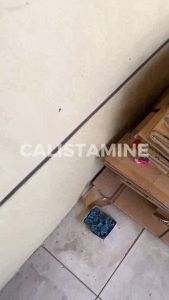 Racun Pembasmi Tikus Mati Kering Tidak Meninggalkan Bau Bangkai Menyengat by HOMIS