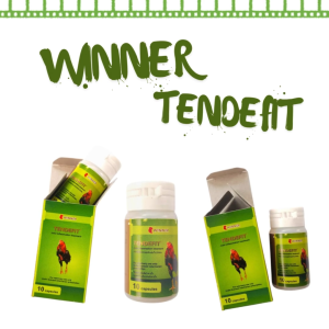 WINNER TENDEFIT - obat turun urat untuk ayam