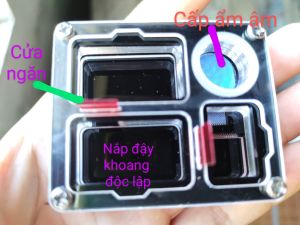 Tank kiến mica 3 khoang kèm cột nước CẤP ẨM ÂM (Formicarium/Tổ/nhà/hộp nuôi kiến)