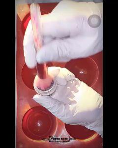 Cetakan Dome Setengah Lingkaran Bulat & Cetakan Silikon DOME 5