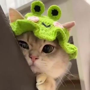 Crochet Pet Hats Frog Strawberry Flower Elastic Adjustable Breathable Cat Dog Party Photo Props Roleplay Costume Decoration
