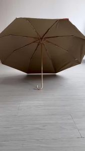 GUANGMANZHI | Hook Decorative UV/Rain Protection Umbrella
