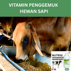 Vitamin Penggemuk Sapi Alami 500ml Nafsu Makan Naik Bobot Cepat Bertambah Maksimalkan Penggemukan