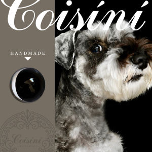 Ban Đầu Tự Làm Phụ Kiện Búp Bê Handmade Len Nỉ Mô Phỏng Đôi Mắt Động Vật Mắt Kính Chó Nhà Vải Dụng Cụ May Vá Và Bộ Dụng Cụ