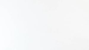 TaffHOME Pencukur Bulu Pakaian Electric Cloth Fabric Shaver - FL-188