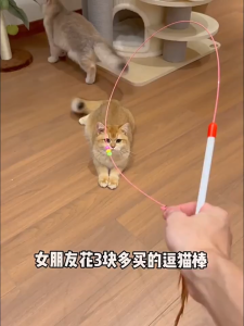 ไม้เล่นแมวพร้อมขนนกสีสันสดใสและกระดิ่งสเปรย์ เสียงกริ๊งดึงดูดความสนใจ แมวชอบเล่นไม่ยอมวาง เสริมพัฒนาการและความสัมพันธ์ระหว่างคุณกับแมว ผลิตจากวัสดุแข็งแรงทนทาน ปลอดภัยสำหรับแมว ใช้งานได้หลากหลายรูปแบบ