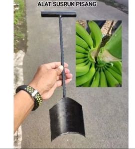 ALAT SUSRUK BUAH PISANG PEMISAH PISAH PADA TANGKAINYA