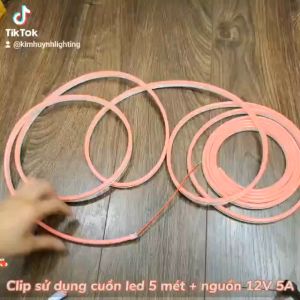Dây đèn led neon flex (6x12)mm DC 12V uốn chữ chống nước giá bán cho 1m chưa gồm nguồn điện 12V và phụ kiện