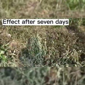 Powerful Grass Killer Chemical Glyphosate Herbicide Do not Harm the Soil Herbicide Suitable for All Types of Weeds