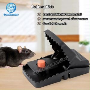แบบสปริง ที่ดักหนู กับ ดักหนู อุปกรณ์ดักหนู กับ ดักหนูนา กับ ดักหนูฟ้าผ่า เหยื่อดักหนู สารกำจัดหนู mouse traps ใช้ซ้ำได้ ความไวสูง