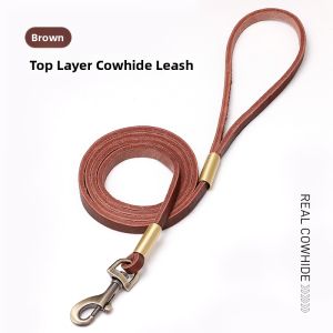 petlimit | Anti-Slip Off Dog Leash for Small to Large Dogs