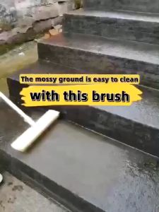 304 Stainless Steel Floor Scrubber Brush 20cm for Patio & Pool Maintenance - BUY 1 TAKE 1 Offer