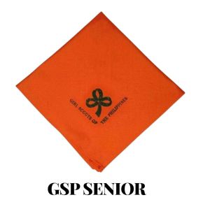 BSP & GSP Scouting Accessories ( Panyo or Scarf )