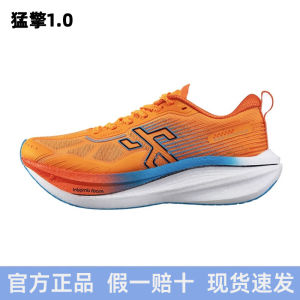 Breathable Carbon Plate Running Shoes Mens Womens Marathon Training Shock Absorption Sport Shoes Full Palm Lightweight Mesh